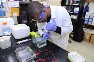 Student running electrophoresis gel